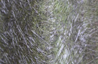 Woodhouse Eaves fibreglass roof work